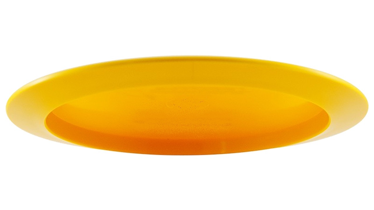 disc_02.jpg