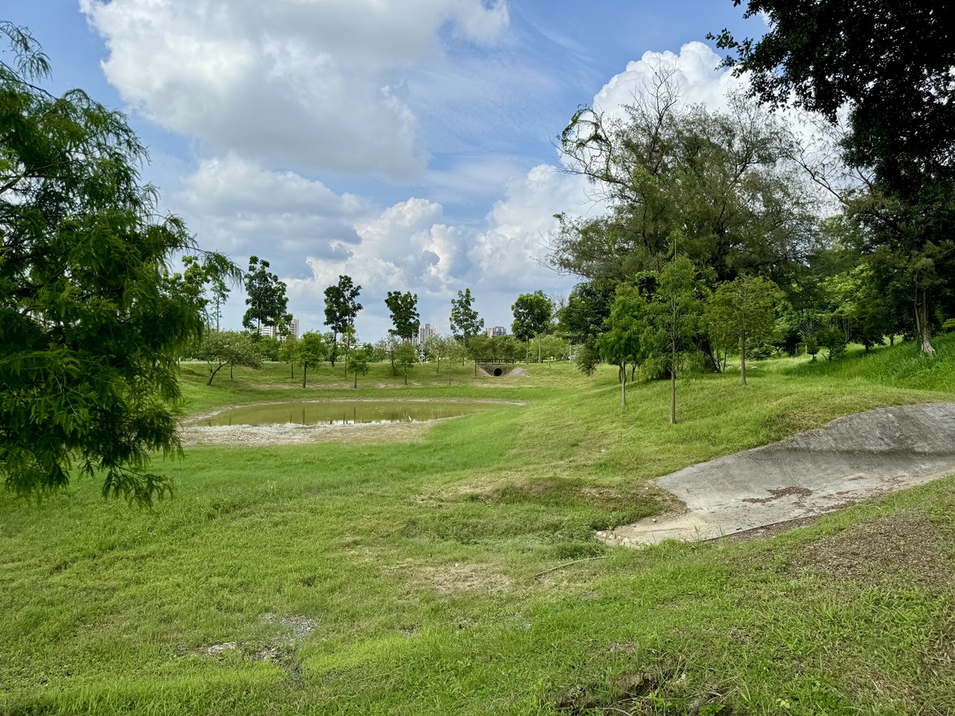 landscape_20250614_01_s.jpg