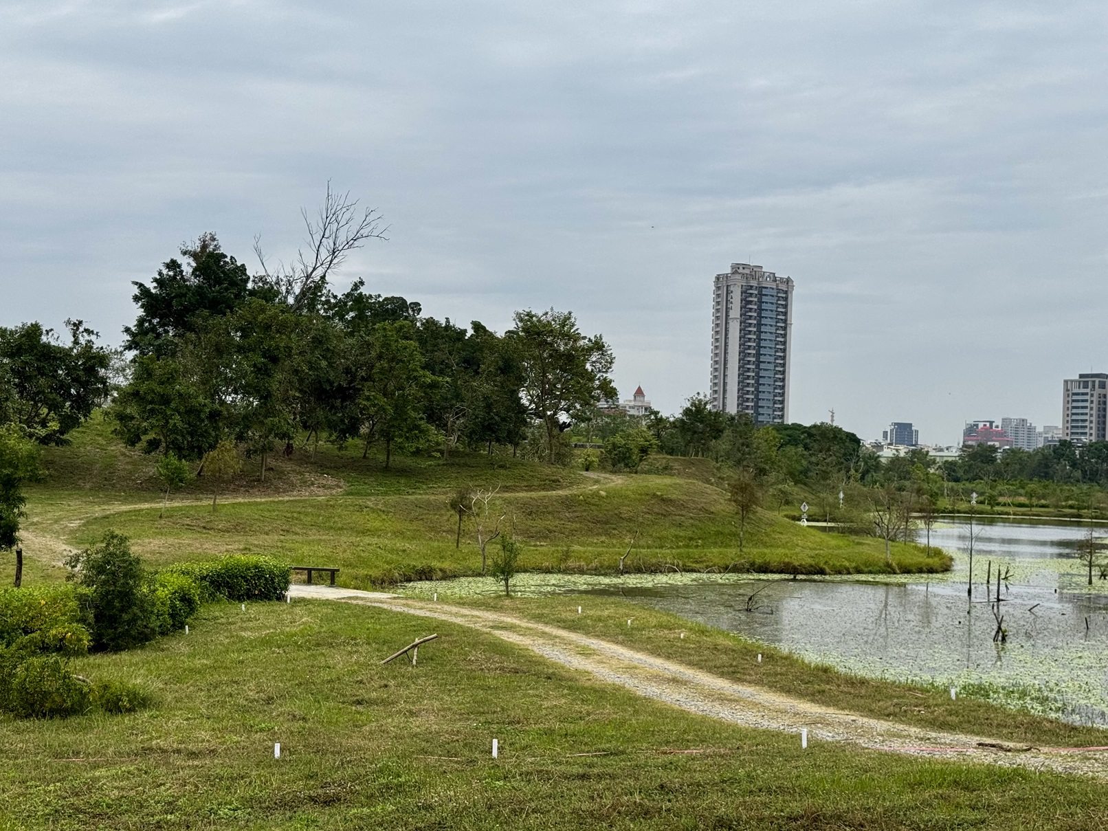 landscape_20250614_03_s.jpg