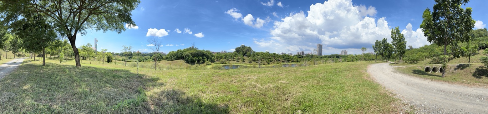 landscape_20250614_07.jpg