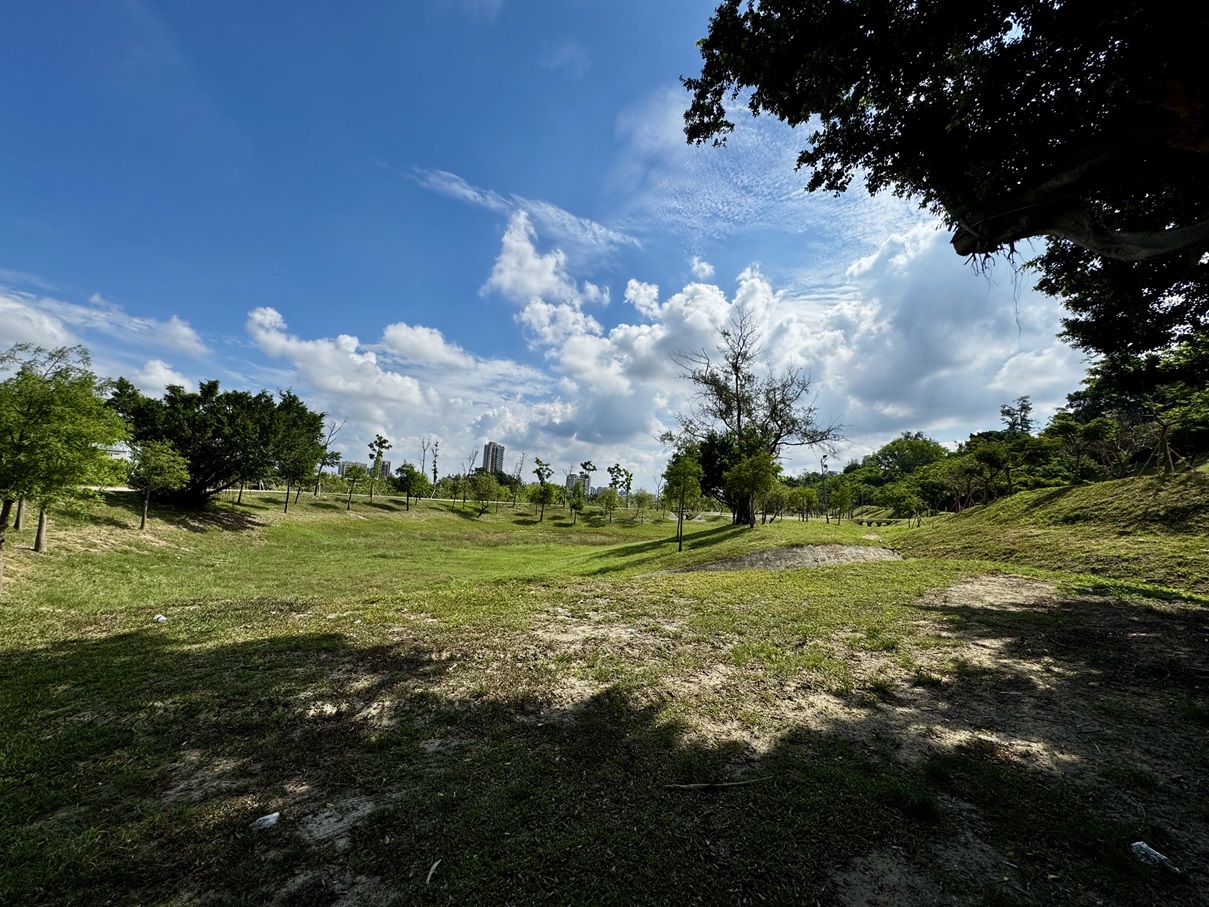 landscape_20250614_08_s.jpg