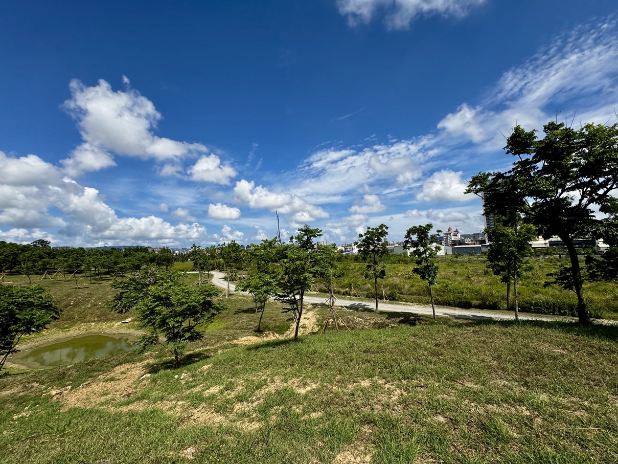 landscape_20250614_09_s.jpg