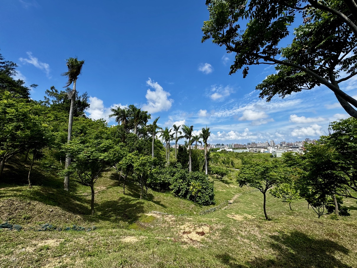 landscape_20250614_10_s.jpg
