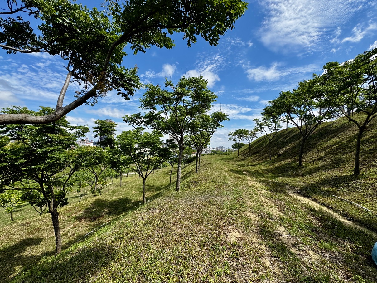 landscape_20250614_11_s.jpg