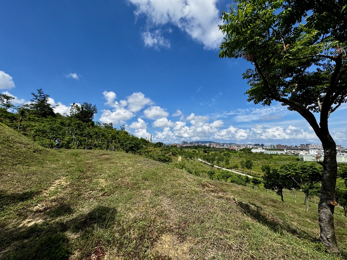 landscape_20250614_12_s.jpg