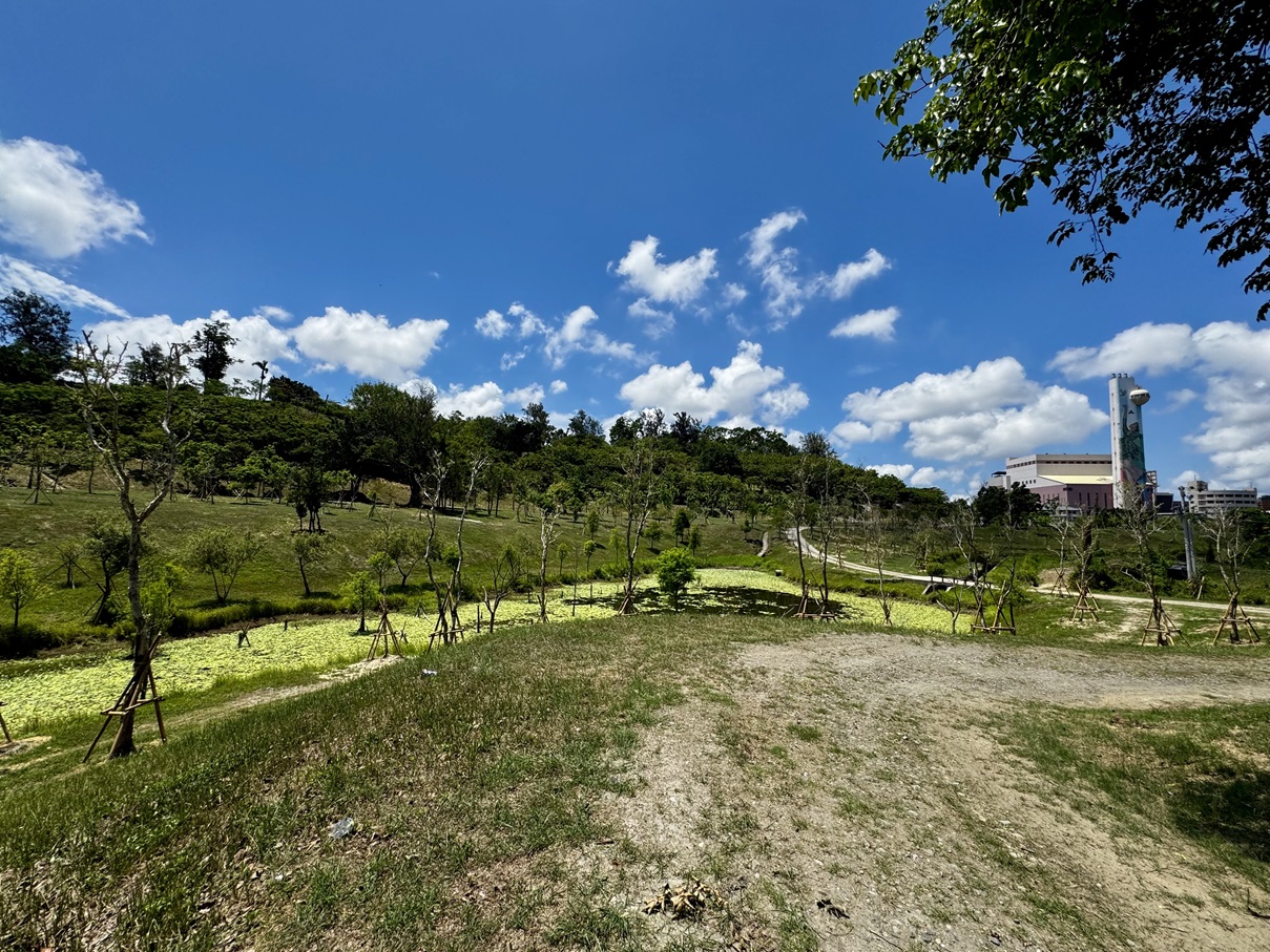 landscape_20250614_13_s.jpg