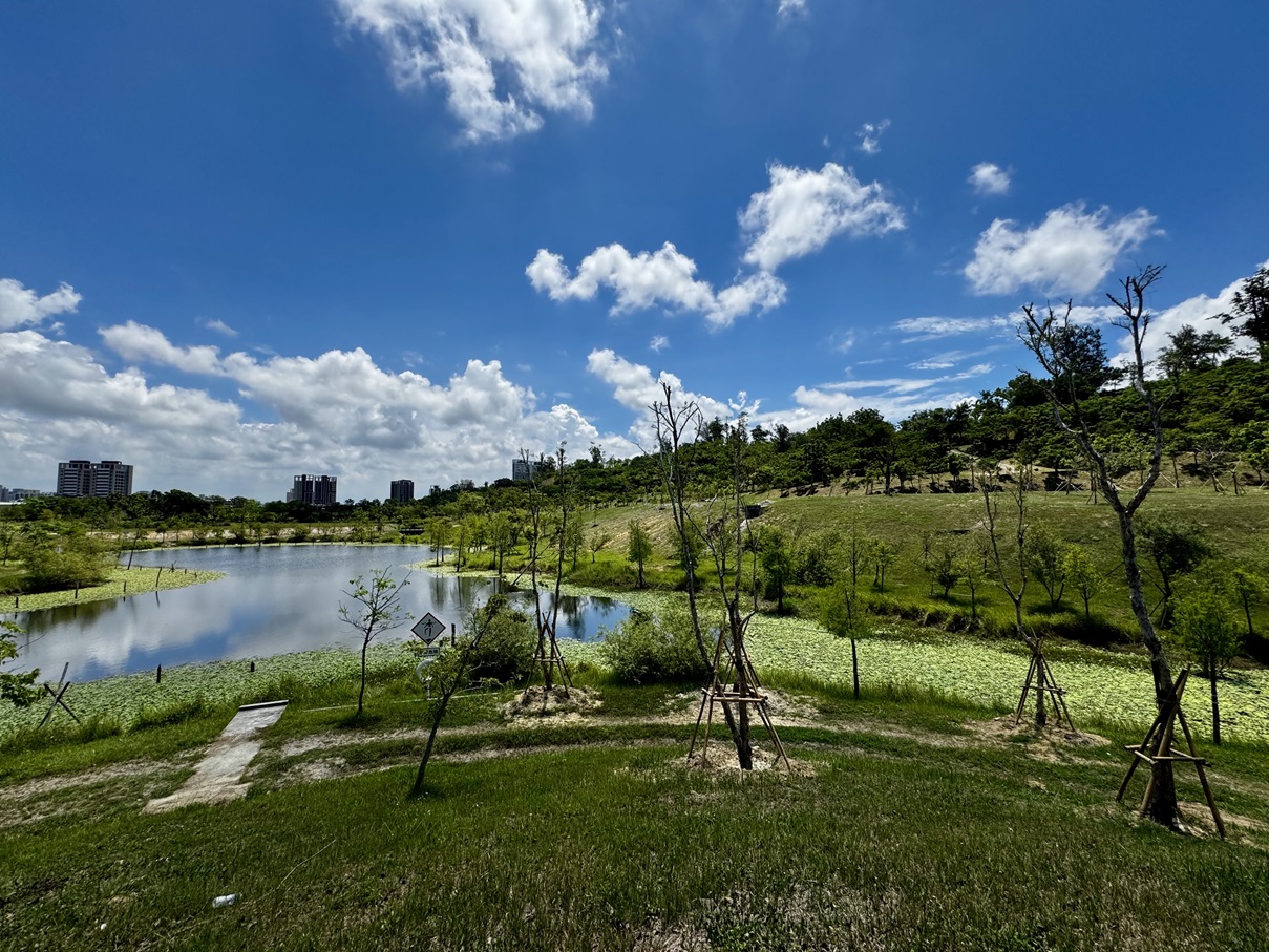 landscape_20250614_14_s.jpg