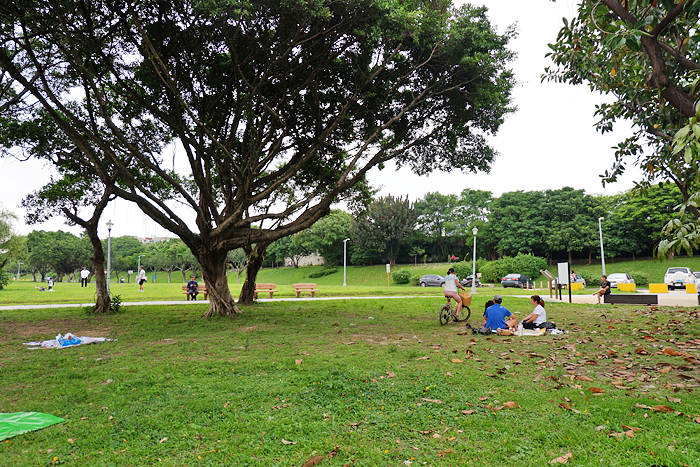 Huazhong_Eiverside_Park_playground_2.jpg