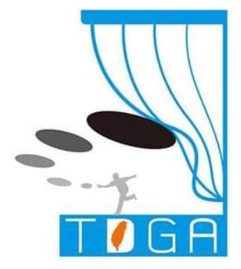 Taiwan_disc_golf_ico.jpg